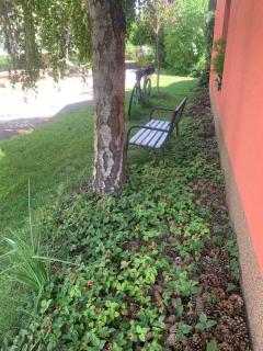 Luxusní Apartmán NMNM Mezonet - 7