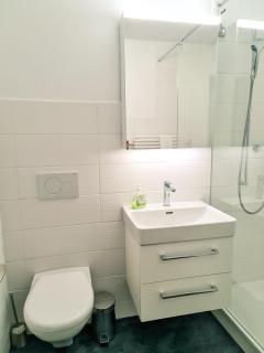 Nika Apartment - Aare Jungfrau AG - 4