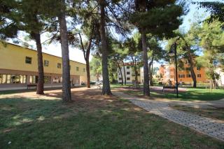 IDA St2, FEW STEPS FROM THE BEACH - 5