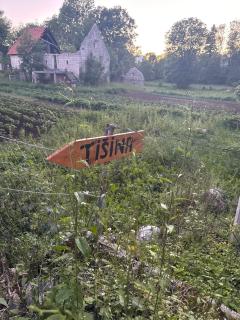 Tišina - 8