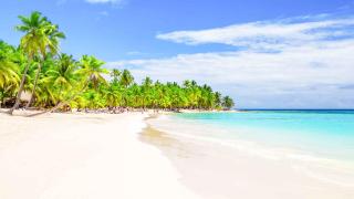Nivia Punta Cana Hotel & Residences - 7