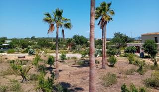 Hort des Padri - 9