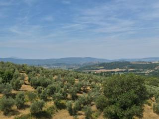 Il Corbezzolo - 9