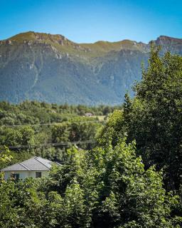 Stone House Bran - 5
