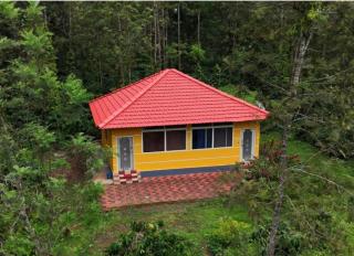 Rising surya Plantation stay - 3