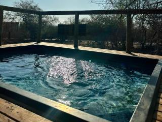 Springbokkie- Marloth Park Getaway - 1