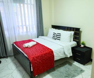 Affordable 1 bedroom in Milimani Kisumu - 6