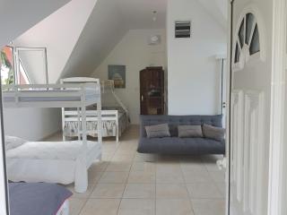 Villa charmante à Saint-Benoît avec piscine privée - Saint-Benoît - 3