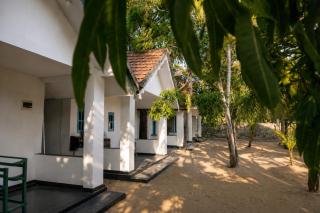 Zen Yoga & Surf House - 0