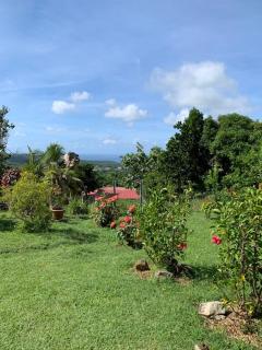 Appartement charmant à Rivière-Salée, 45 m² avec terrasse privée - 6