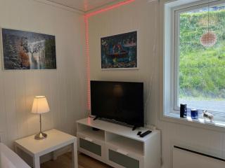 Luxury Norwegian Mountain View Apartment - Balcony - 8