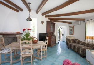 Charming House near Porto Rotondo with Shared Pool - 1