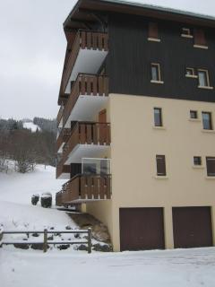 Appartement au pied des pistes, avec vue sur la montagne - 9