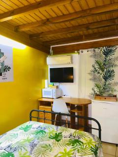 Studio charmant à Basse Terre, vue sur jardin, 15 m² - 6
