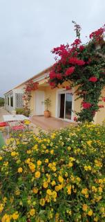 Seaside Studio in Sagres - 38 sqm with Terrace and Garden - 9
