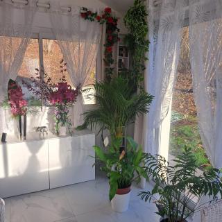 Maison de charme à Saint-Cyr-la-Rivière + jardin clôturé - 2