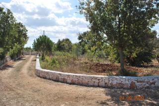 Charming house in Locorotondo, enclosed garden - 5