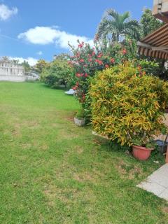 Studio charmant à Sainte-Luce, 28 m², terrasse et jardin. - 5