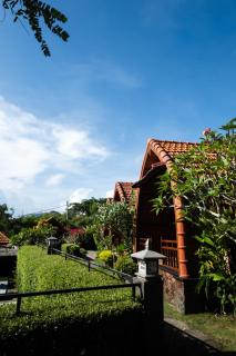 Druwa Bali - 7