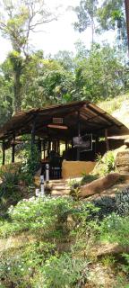 Woodland Hideaway in Sinharaja - 6