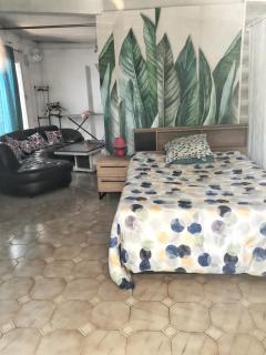 Studio charmant à Saint-Pierre avec jardin clos - 50 m² - 7