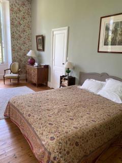 Manoir majestueux à Chaniers avec piscine privée - 3
