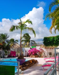 Appartement charmant à Sainte-Anne avec piscine partagée - 60 m² - 1