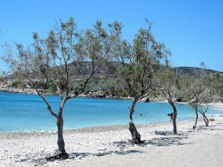 Beach House 50m from Glyfa Beach in Paros - Spacious 2BR with Private Garden - 7