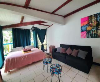 Studio agréable à Sainte-Anne de 30 m² avec piscine partagée - 7