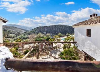 Elegant Villa in Granada with Pool and Garden - 1