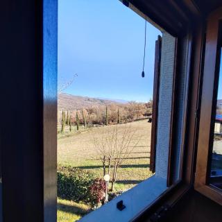 Charming house with shared pool in Caprese Michelangelo - 4