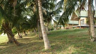 Wingbeat Lodge at Lake Bosomtwe - 2