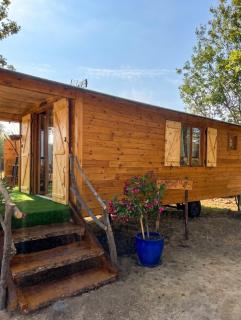 Roulotte à la campagne avec son spa à Cabariot - 2