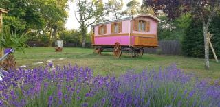 Bungalow cosy à Bussac-Forêt avec piscine partagée 15 m² - 2