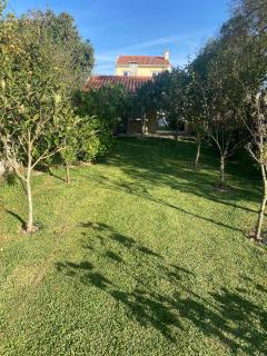 Welcoming house with terrace and garden in Barra de Mira - 1