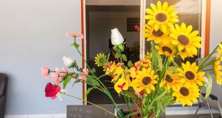 Appartement charmant à Sainte-Marie, 55 m², piscine - 4