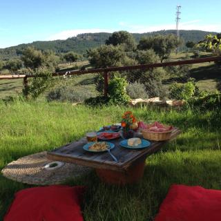 Peaceful villa in Monesterio with private pool - 2