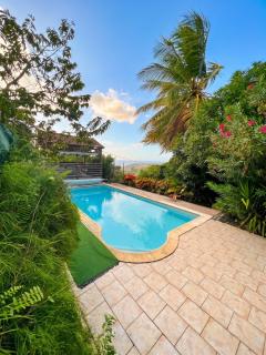 Belle villa avec piscine privée à Le Carbet - 7