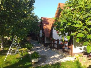 Cozy bungalow in Brinjani with garden view 30 m² - 4