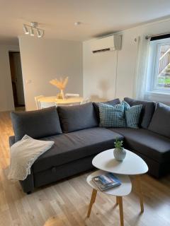 Sentrumsnær sokkelleilighet - 5