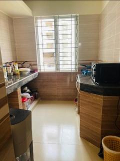 Premium RUAP apartment, near Metro, South face - 4