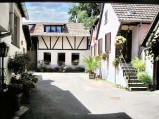 Maison de charme avec jardin à Ingersheim - Chaleur cosy - 1