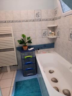Appartement spacieux à Ingersheim avec vue sur jardin, 100 m² - 6
