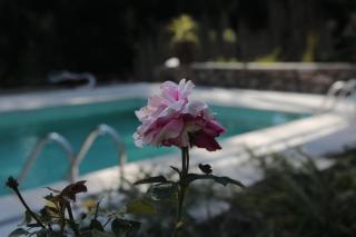 Charming Studio in Marco de Canaveses - 25m² with Pool - 2