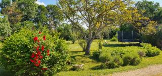 Maison charmante à Narbonne avec piscine et jardin - 6