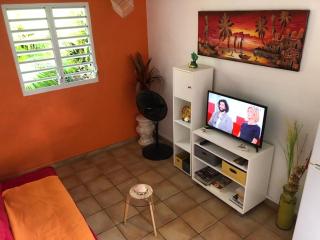 Appartement cosy avec terrasse et jardin à Sainte-Anne, 35 m² - 6