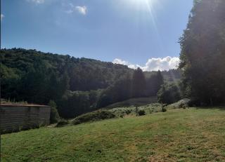 Chalet charmant à Saint-Sylvestre avec Terrasse et Jardin - 5