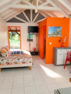 Bungalow charmant à Petit-Bourg avec jardin privatif - 8
