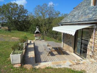 Maison spacieuse à Castelnau-de-Mandailles avec cheminée 250 m² - 9
