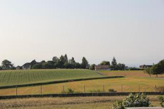Comfortable studio in Bevaix with mountain view - 30 m² + Spa - 8